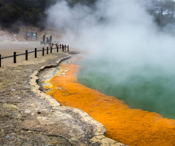 Wai-O-Tapu is an active geothermal area near Rotorua in New Zealand's Taupo Volcanic Zone that has colourful pools and active Lady Knox Geyser.