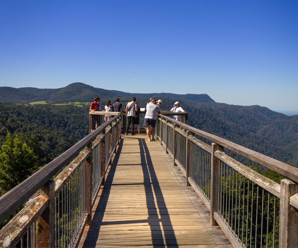 Dorrigo Skywalk is a short walk with incredible lookout about the trees in Dorrigo Rainforest Centre
