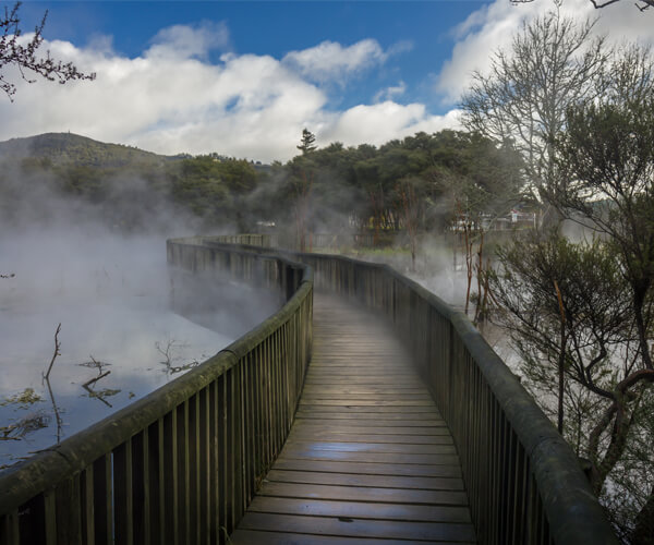 Kuirau Park is a free public park in the centre of Rotorua where you could discover boiling streams, fenced thermal springs, mud pools, and steaming lake