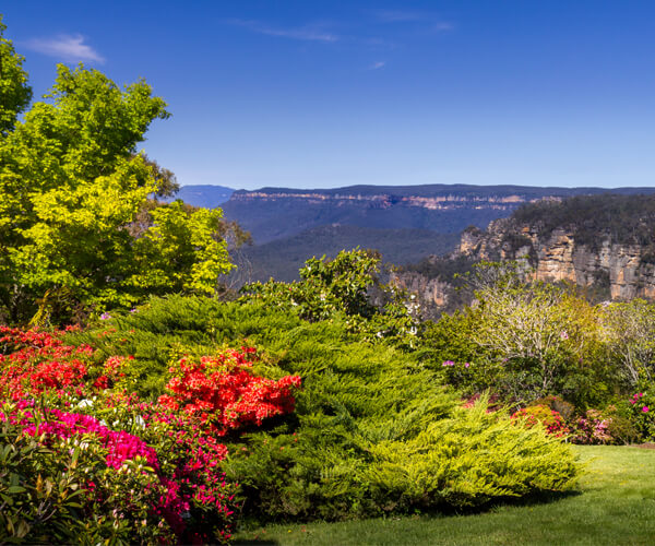 Around eleven blooming gardens in the Blue Mountains are opened for visiting for a week in spring (October).